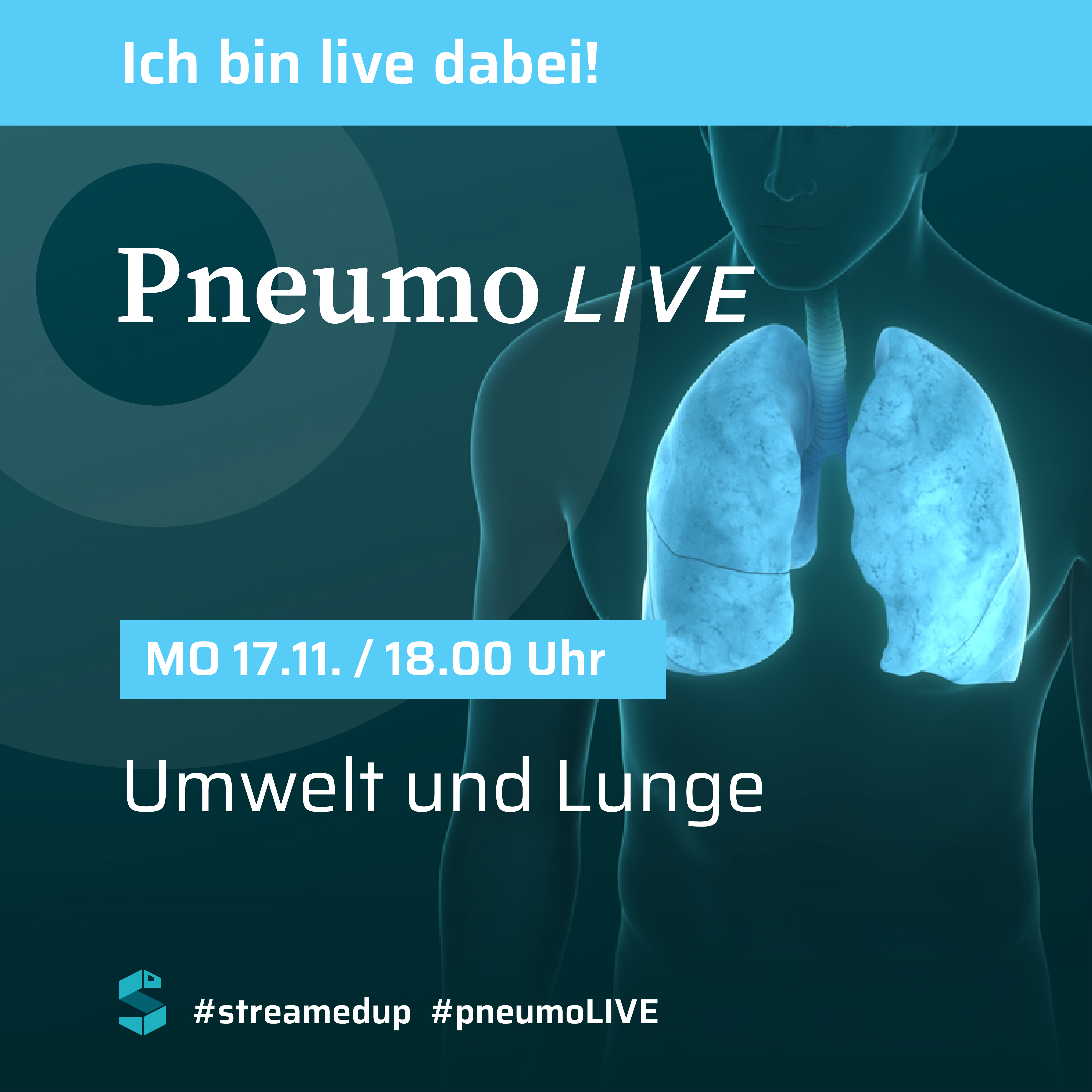 2025 11 17 Lunge 2025 Exp